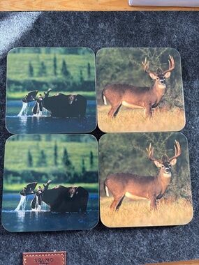 Wildlife Cork Coasters